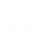 Natty Shirts Logo